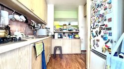 Corona Ville (D10), Condominium #478400331